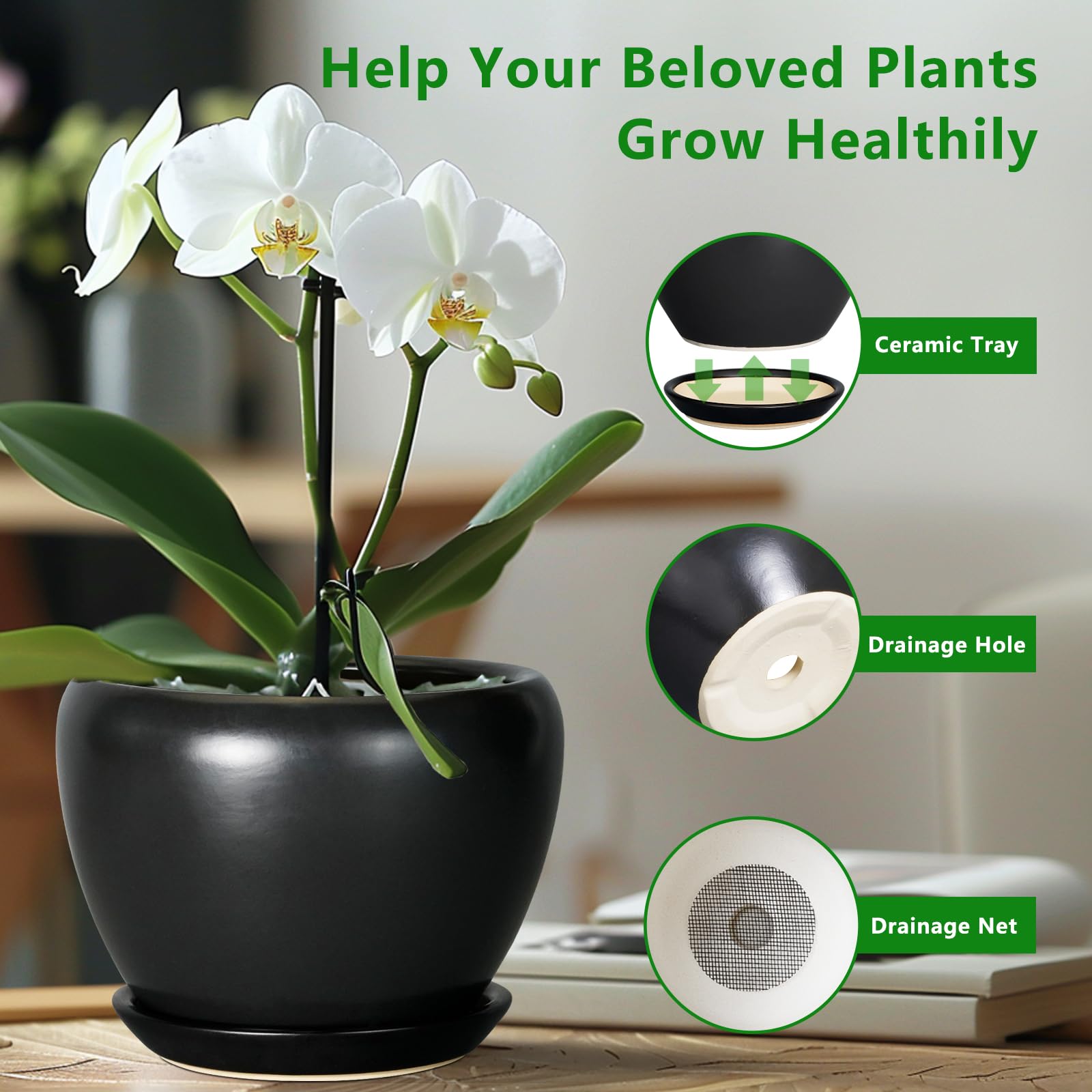 Side view of Ceramicfor Matte Black Planter