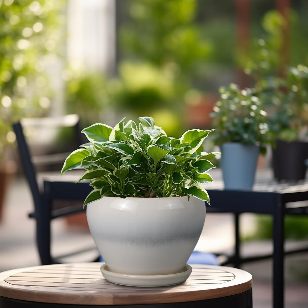 Side view of Ceramicfor Planter Pot displaying its modern design