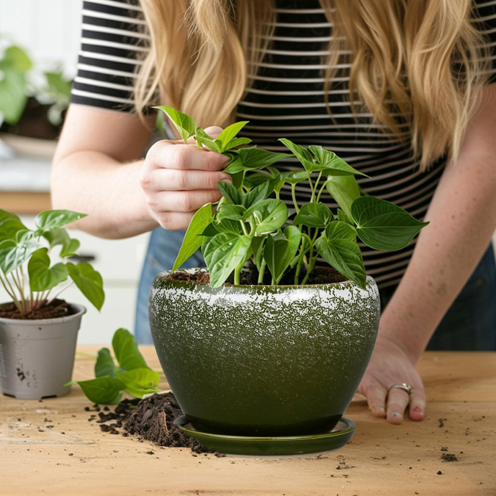 Side view of Ceramicfor planter pot with herbs