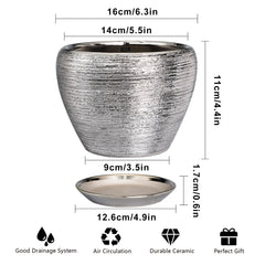 Side view of Ceramicfor Silver Planter with Indoor Plant