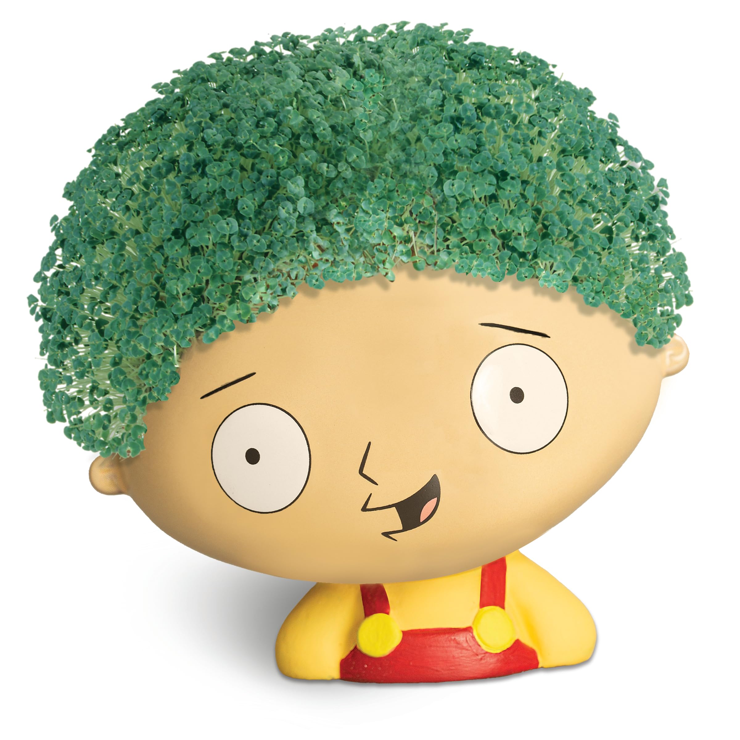 Side view of Chia Stewie with green chia growth