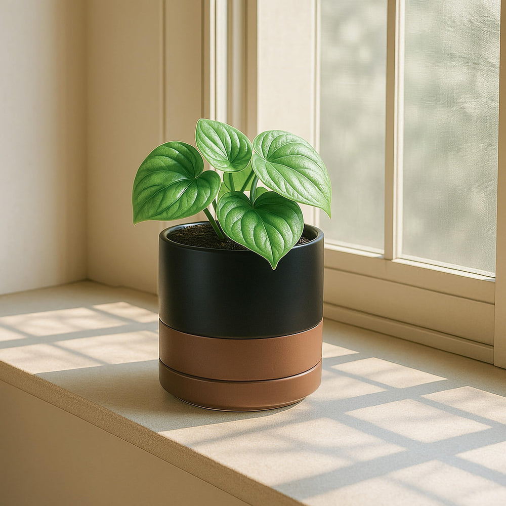 Side view of D'vine Dev ceramic pot with scratch pad