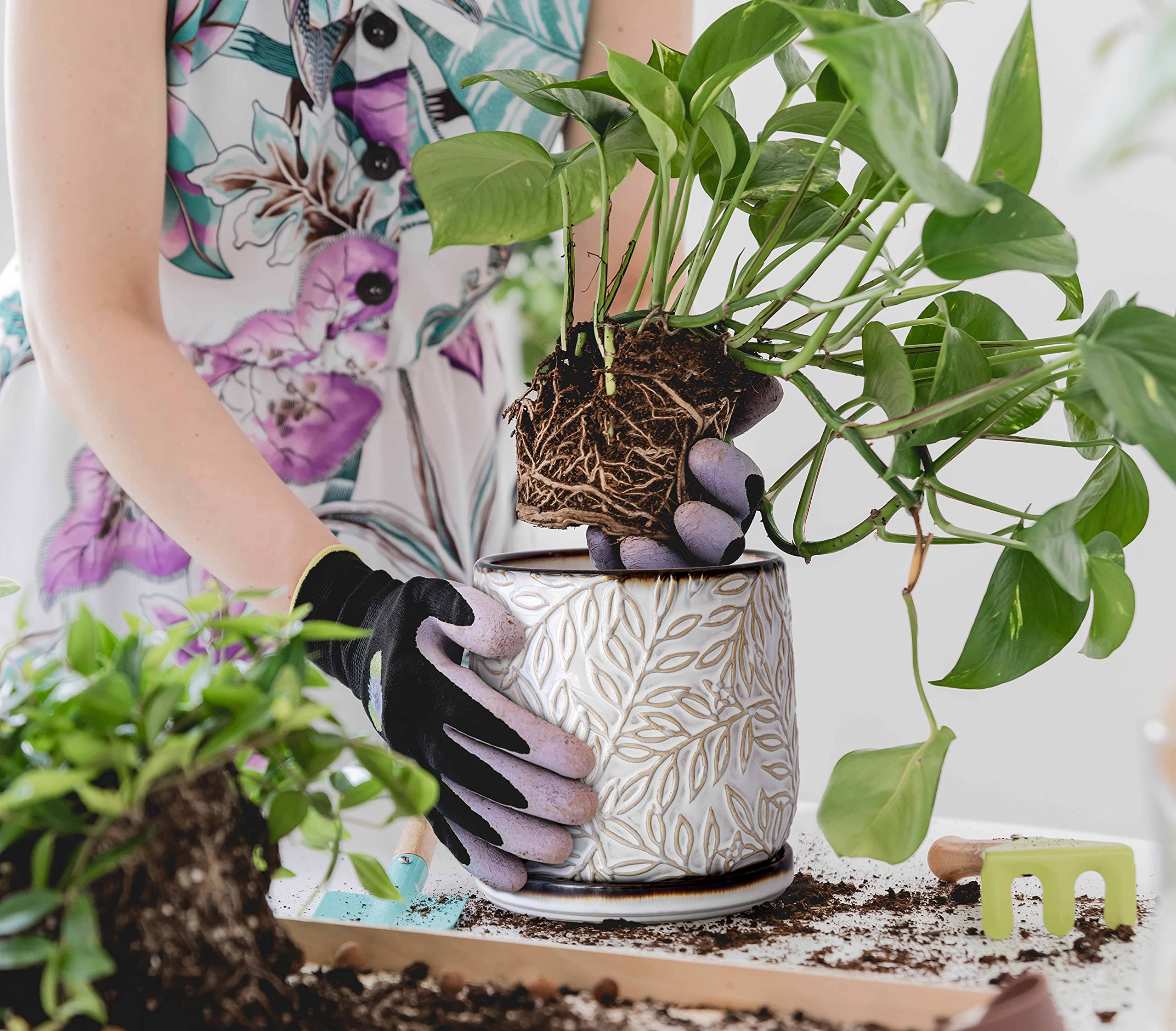 Side view of D'vine Dev embossed leaves ceramic planter with saucer