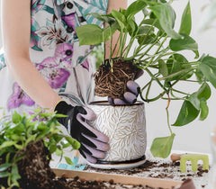 Side view of D'vine Dev embossed leaves ceramic planter with saucer