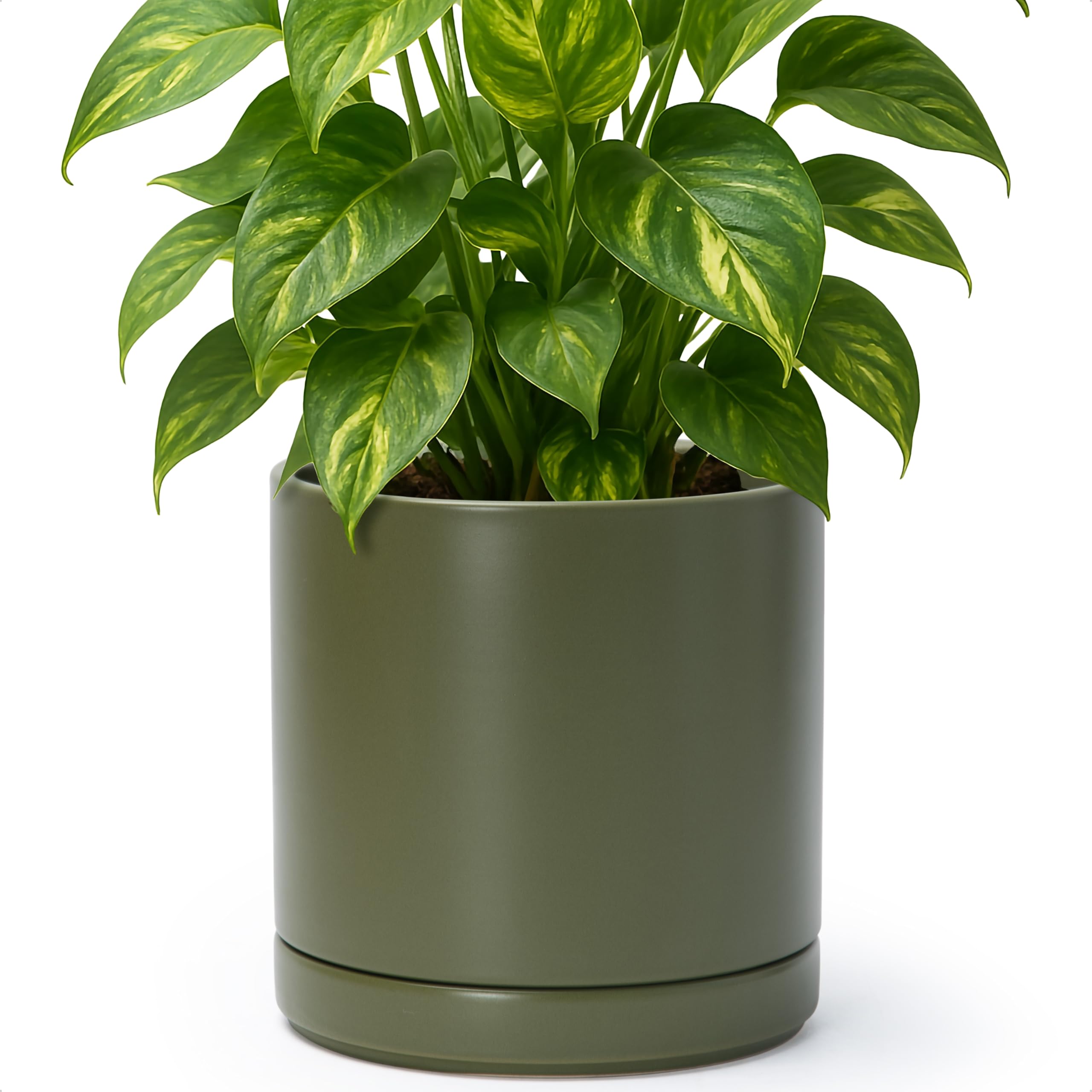 Side view of D'vine Dev planter revealing its cylindrical design.