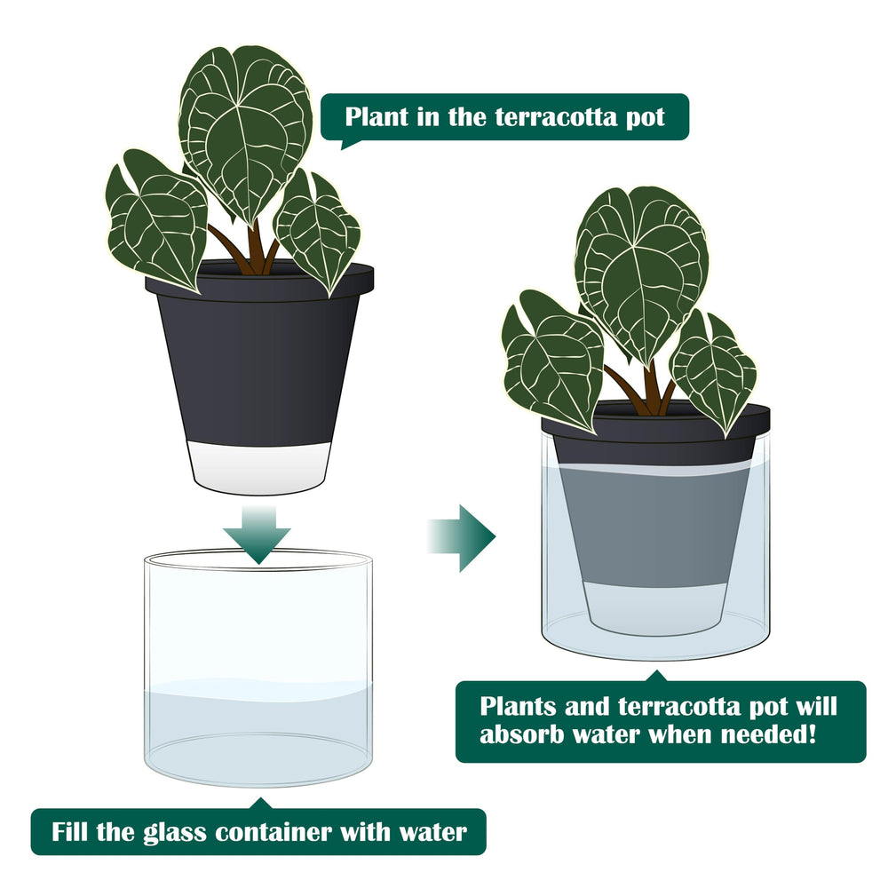 Side view of D'vine Dev Self-Watering Black Terracotta Planter