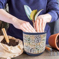 Side view of DeeCoo ceramic pots in different sizes