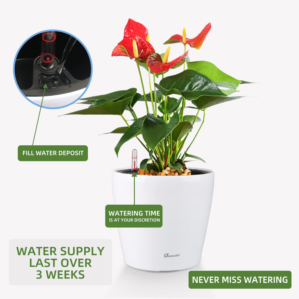 Side view of Dexceder Self Watering Planter outdoors