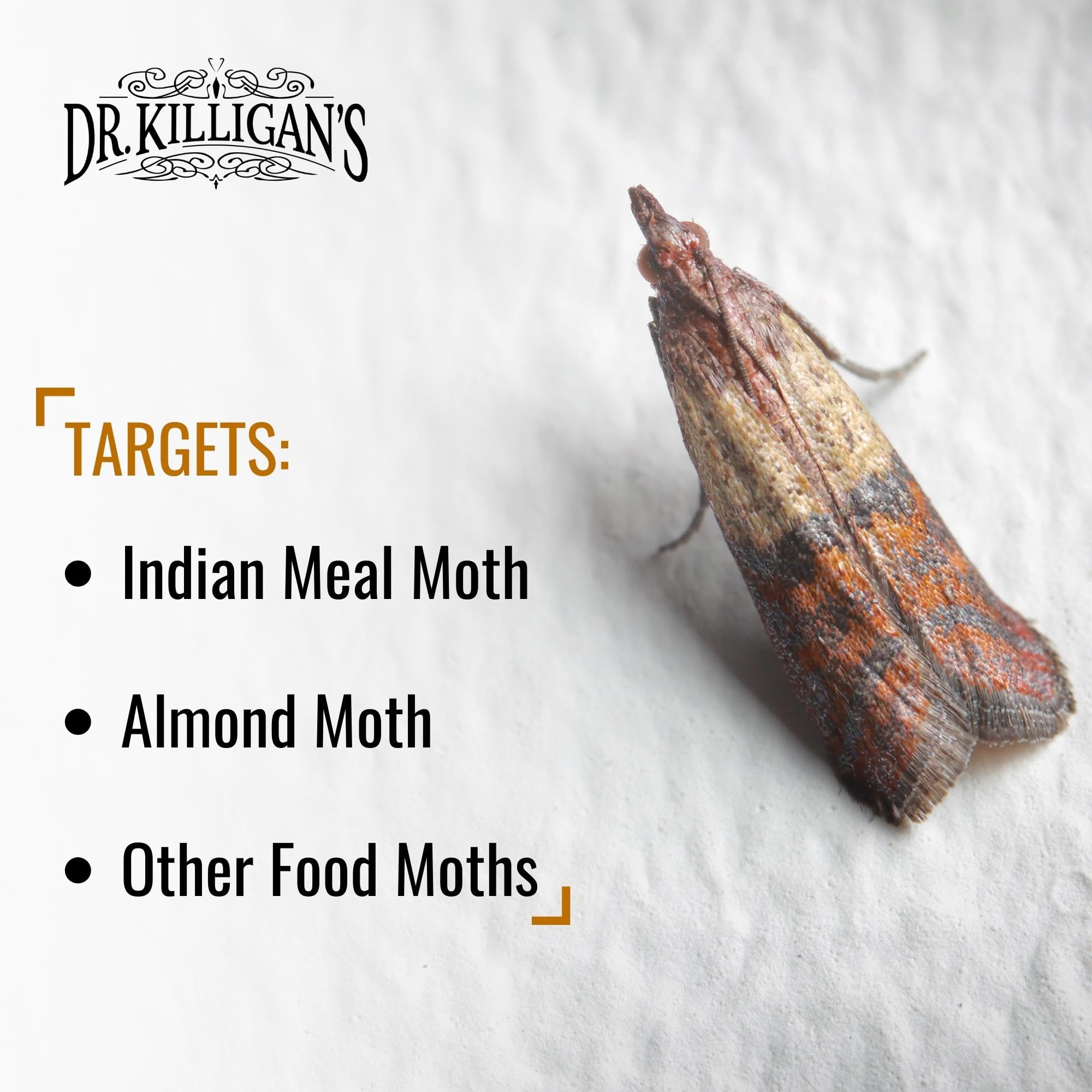 Side view of Dr. Killigan's Pantry Moth Trap with packaging