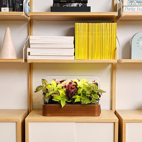 Side view of EDN Indoor Smart Garden with power adapter