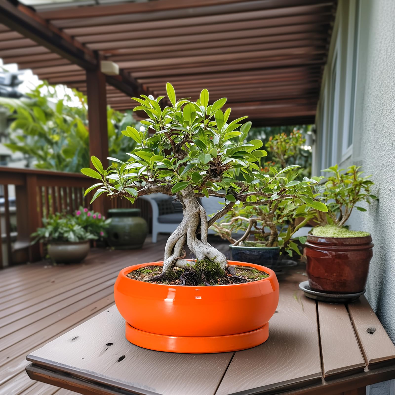 Side view of EPFamily 13 Inch ceramic planter with succulent