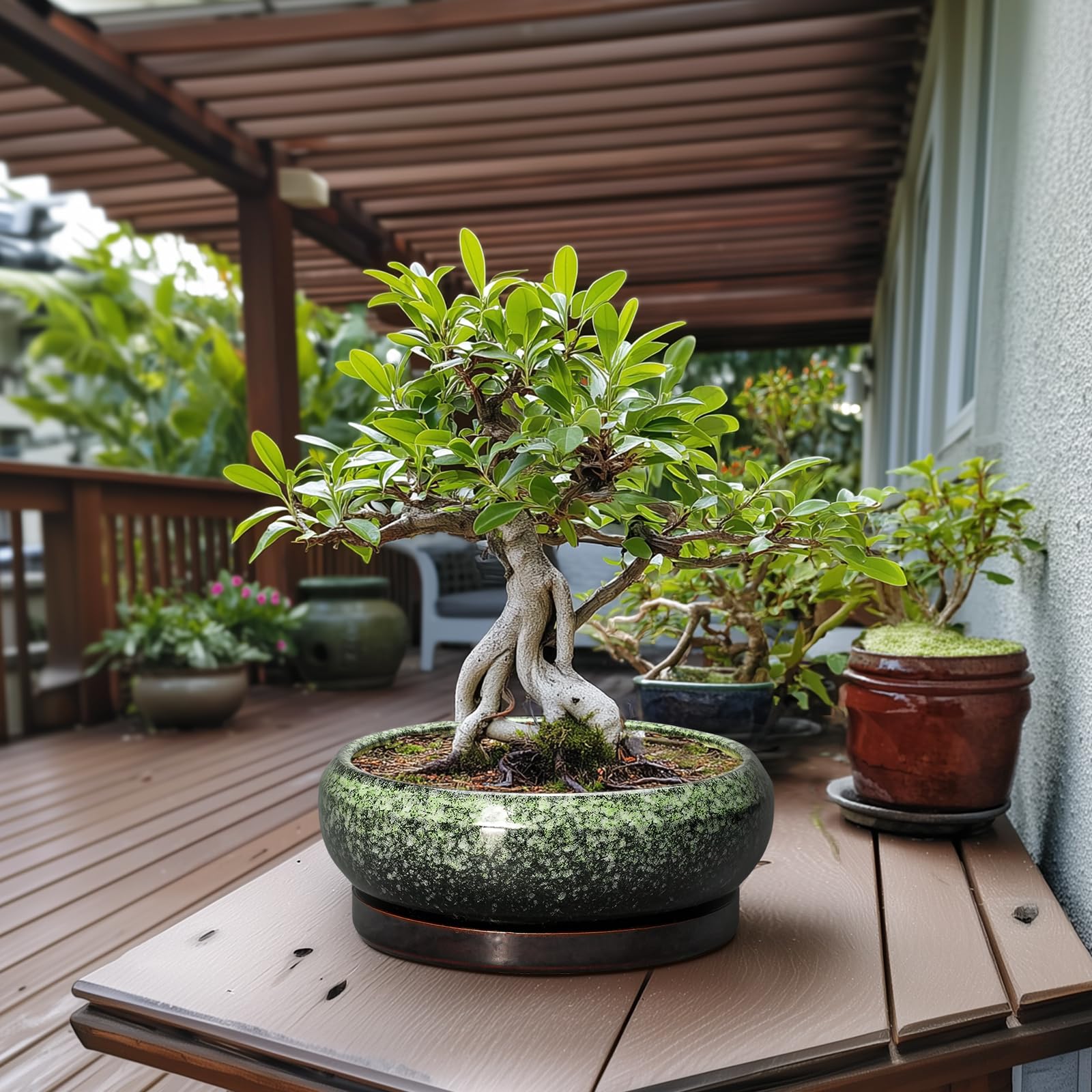 Side view of EPFamily Ceramic Succulent Planter