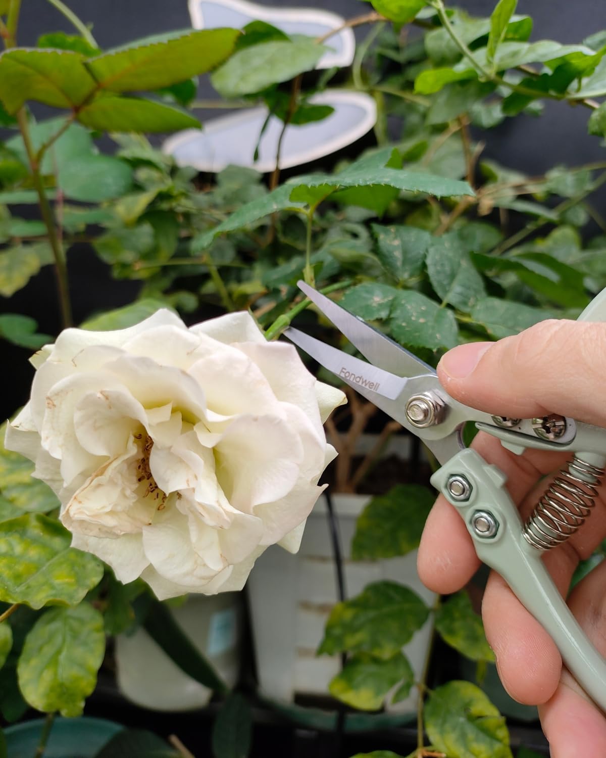 Side view of Fondwell 6-inch pruning shears with ergonomic grip