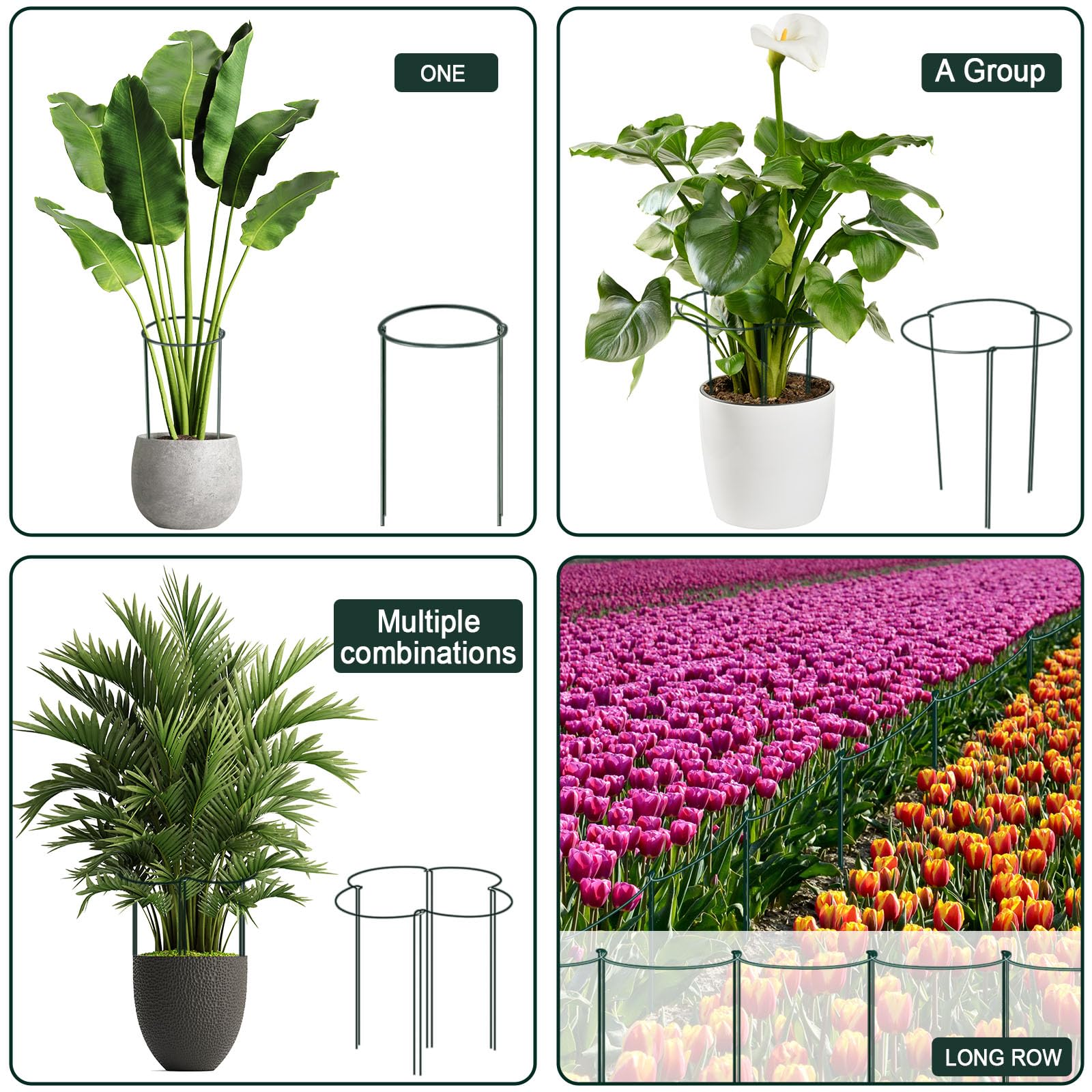 Side view of Gicare half round peony cages