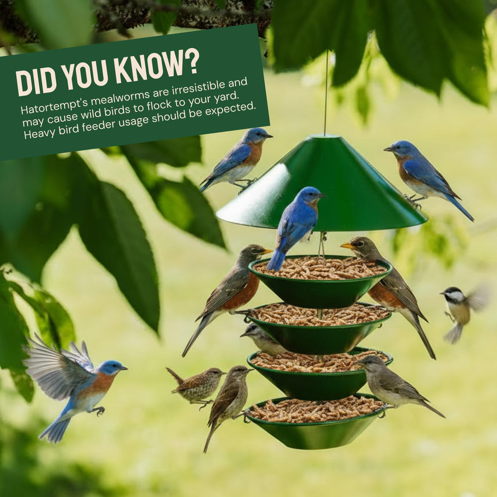 Side view of Hatortempt mealworms showing packaging details