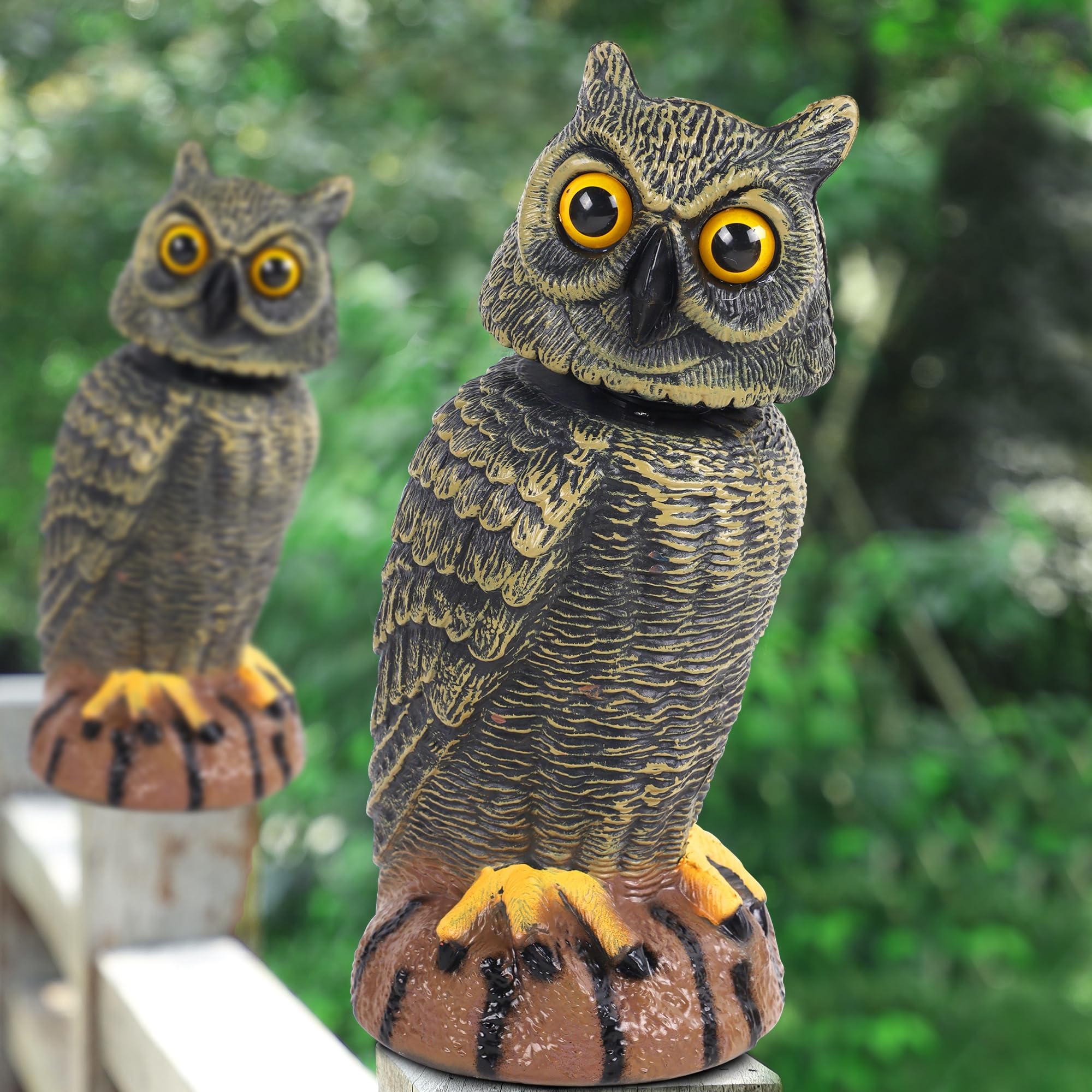 Side view of Hausse golden owl decoy