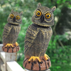 Side view of Hausse golden owl decoy
