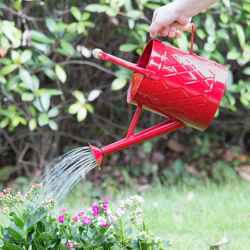Side view of HORTICAN 1 Gallon watering can
