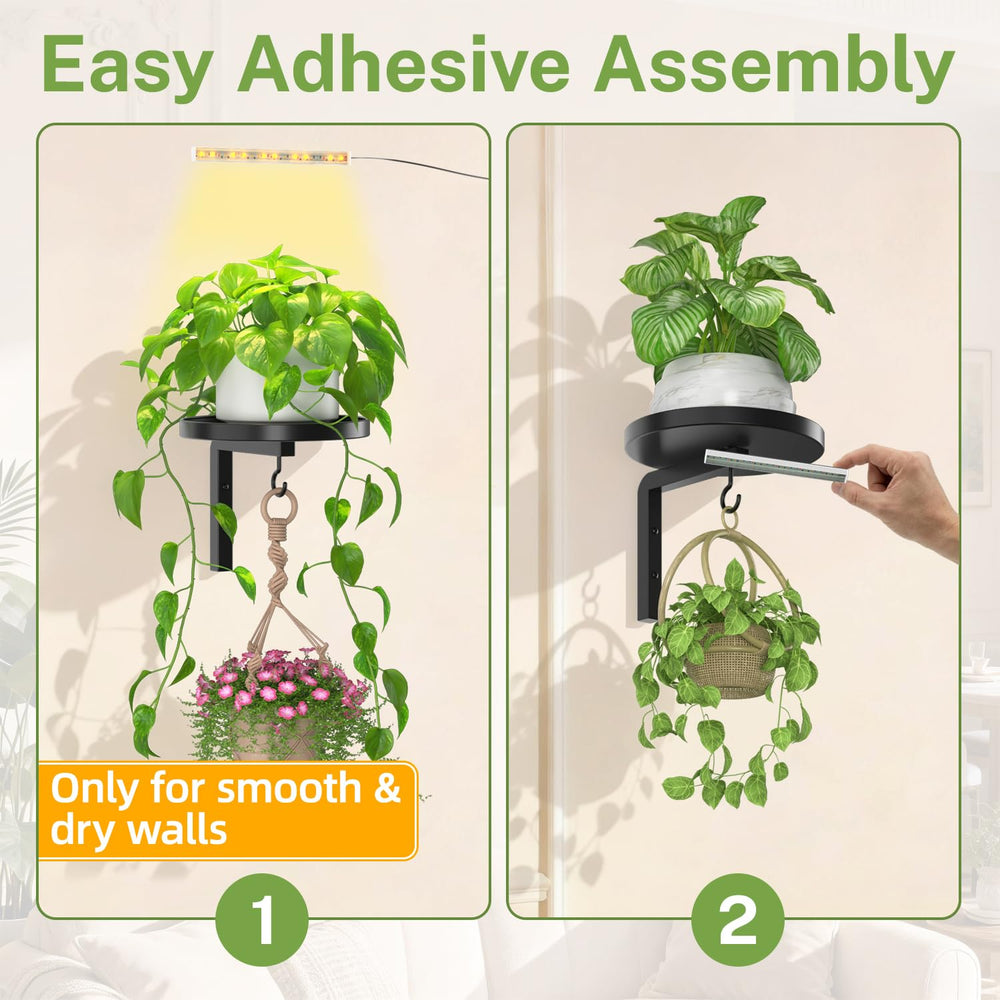 Side view of iDavosic.ly plant wall hanger with tray