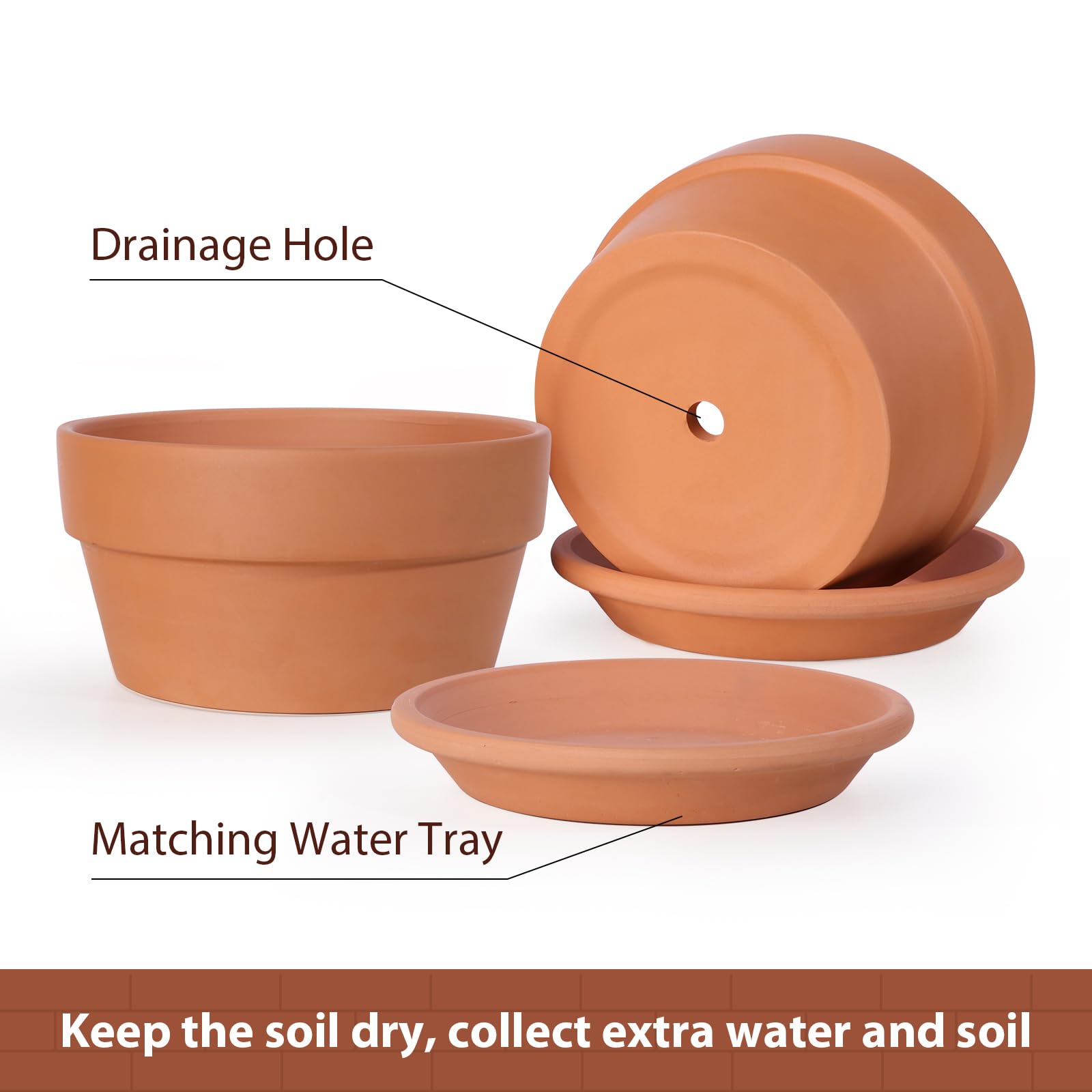 Side view of INGOFIN shallow terracotta pot with succulent