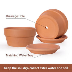 Side view of INGOFIN shallow terracotta pot with succulent