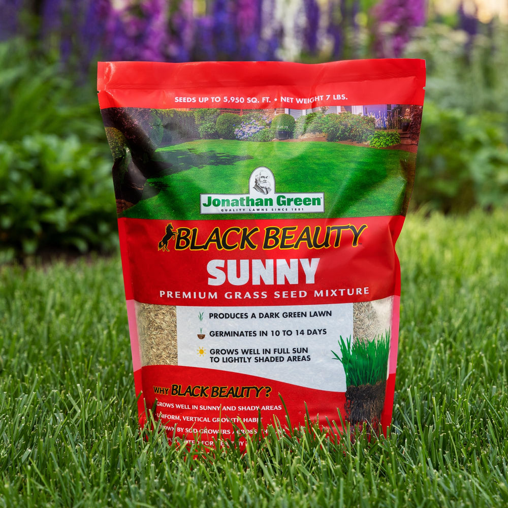 Side view of Jonathan Green Black Beauty Sunny Grass Seed packaging