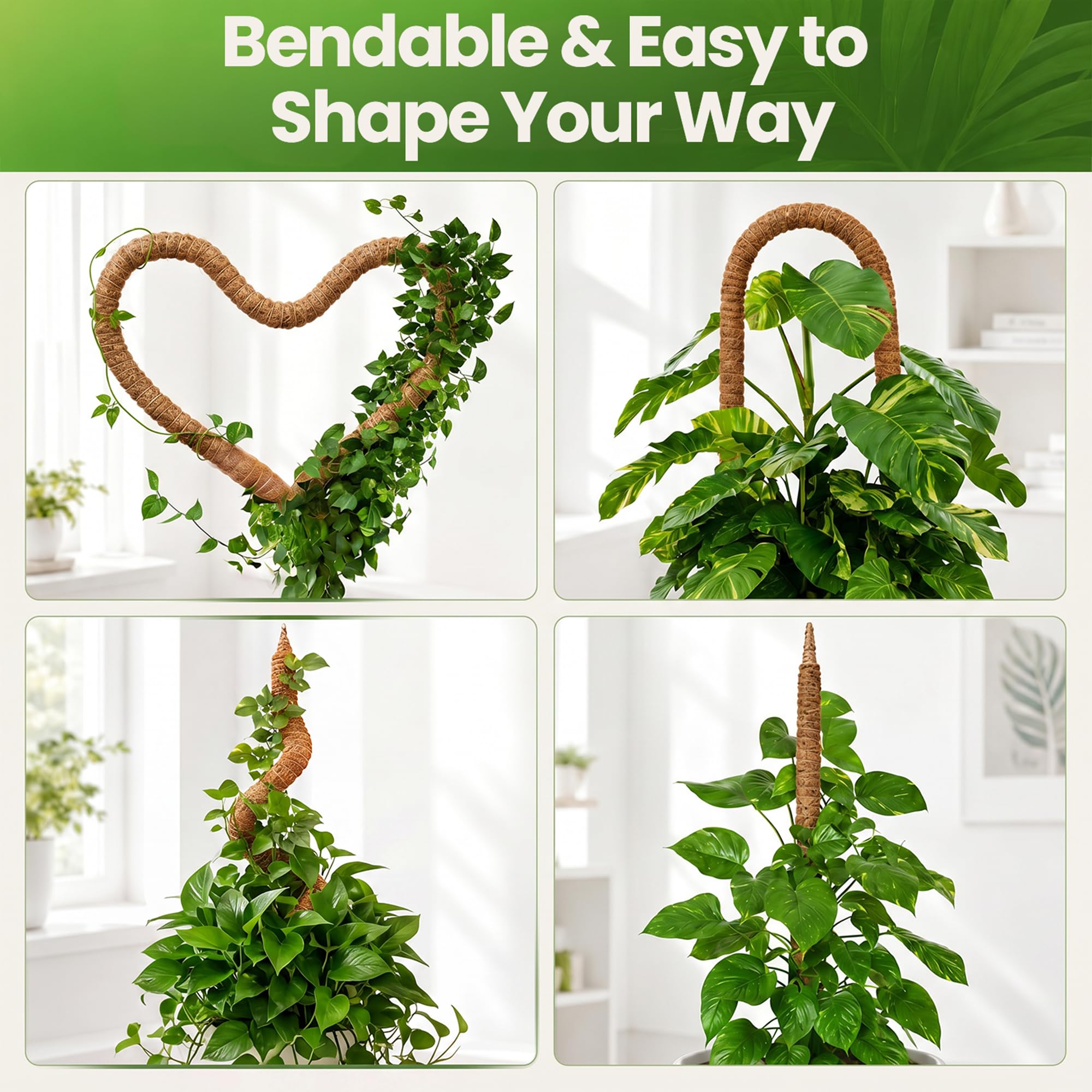 Side view of K-Brands moss pole in a potted plant