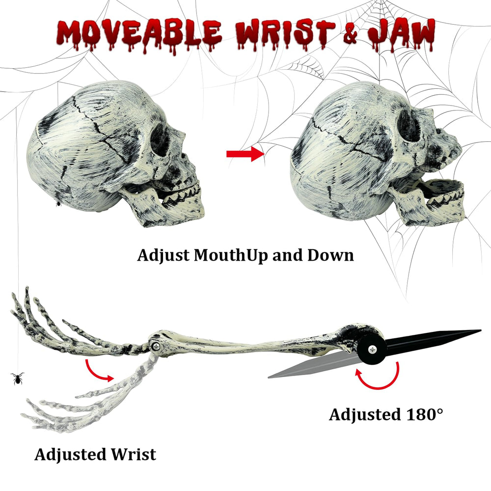 Side view of Kannove skeleton arm bones