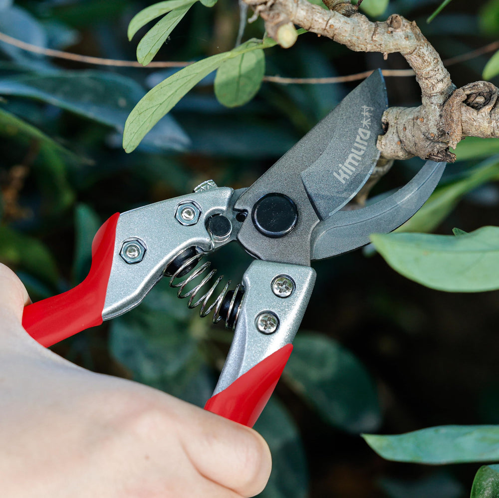 Side view of Kimura 8" pruning shears