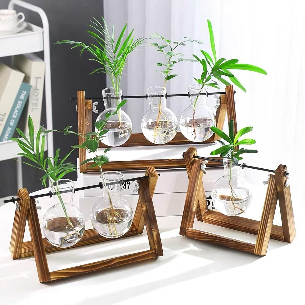 Side view of Kingbuy Plant Propagation Station on a desk