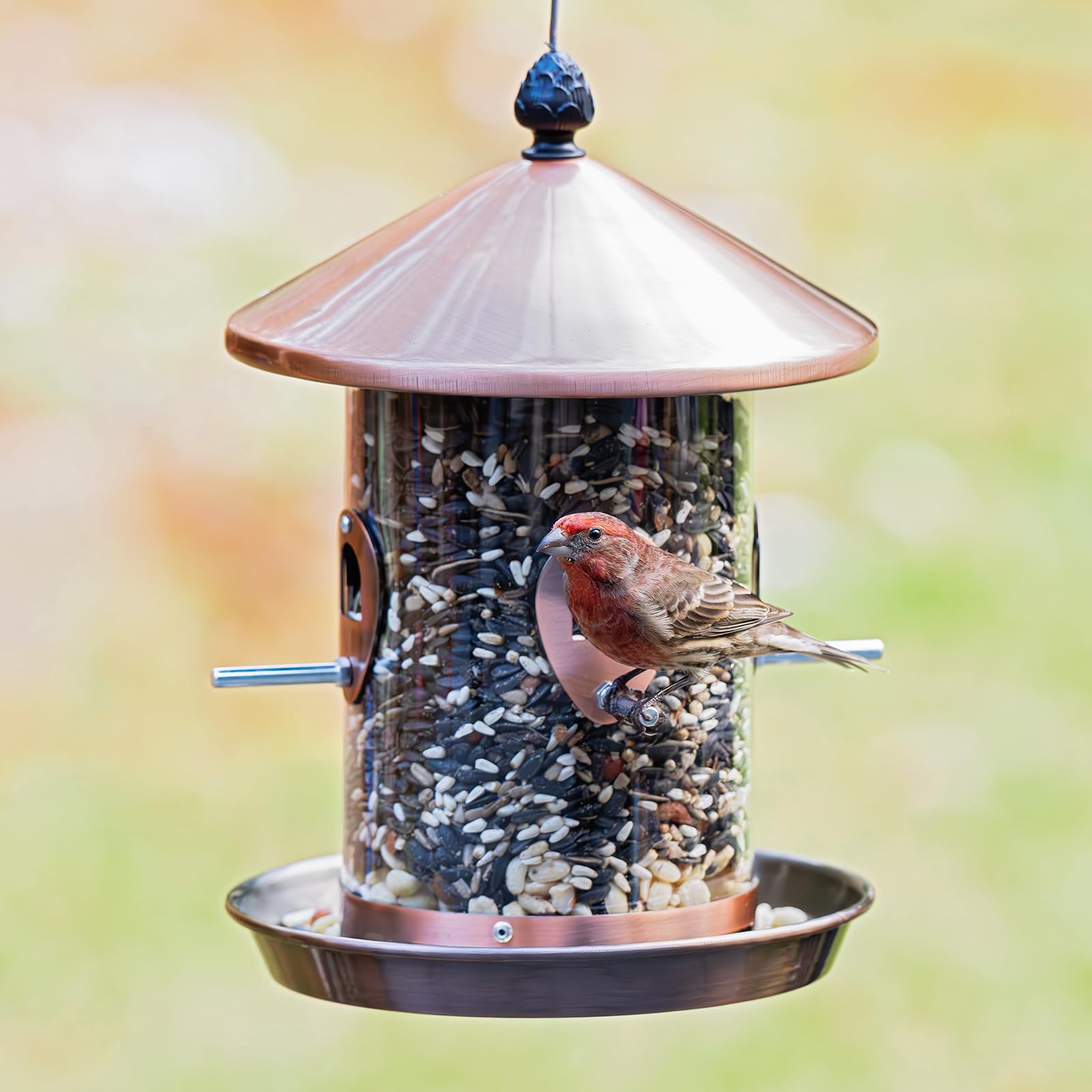 Side view of Kingsyard bird feeder with lid open
