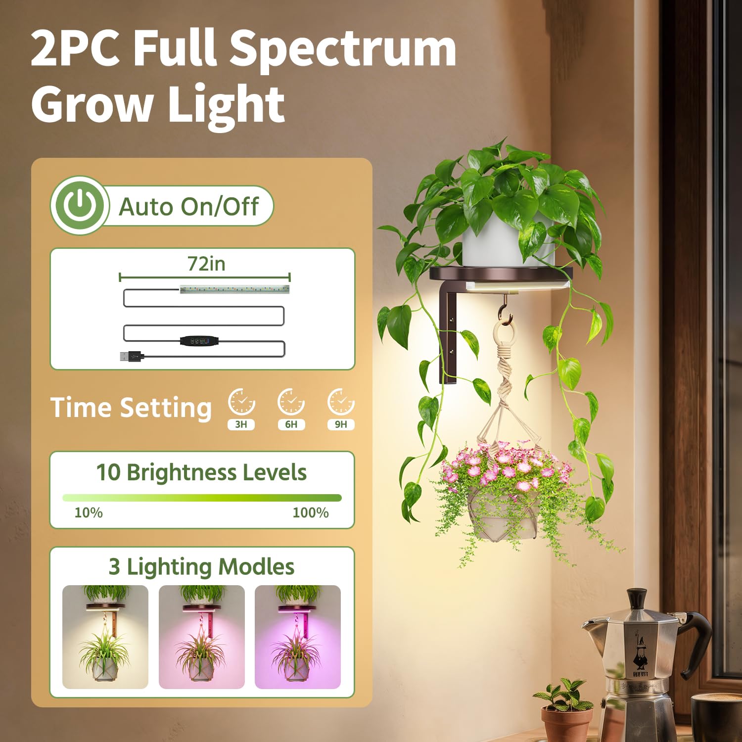 Side view of LASZOLA plant hanger mounted on a wall with plants displayed