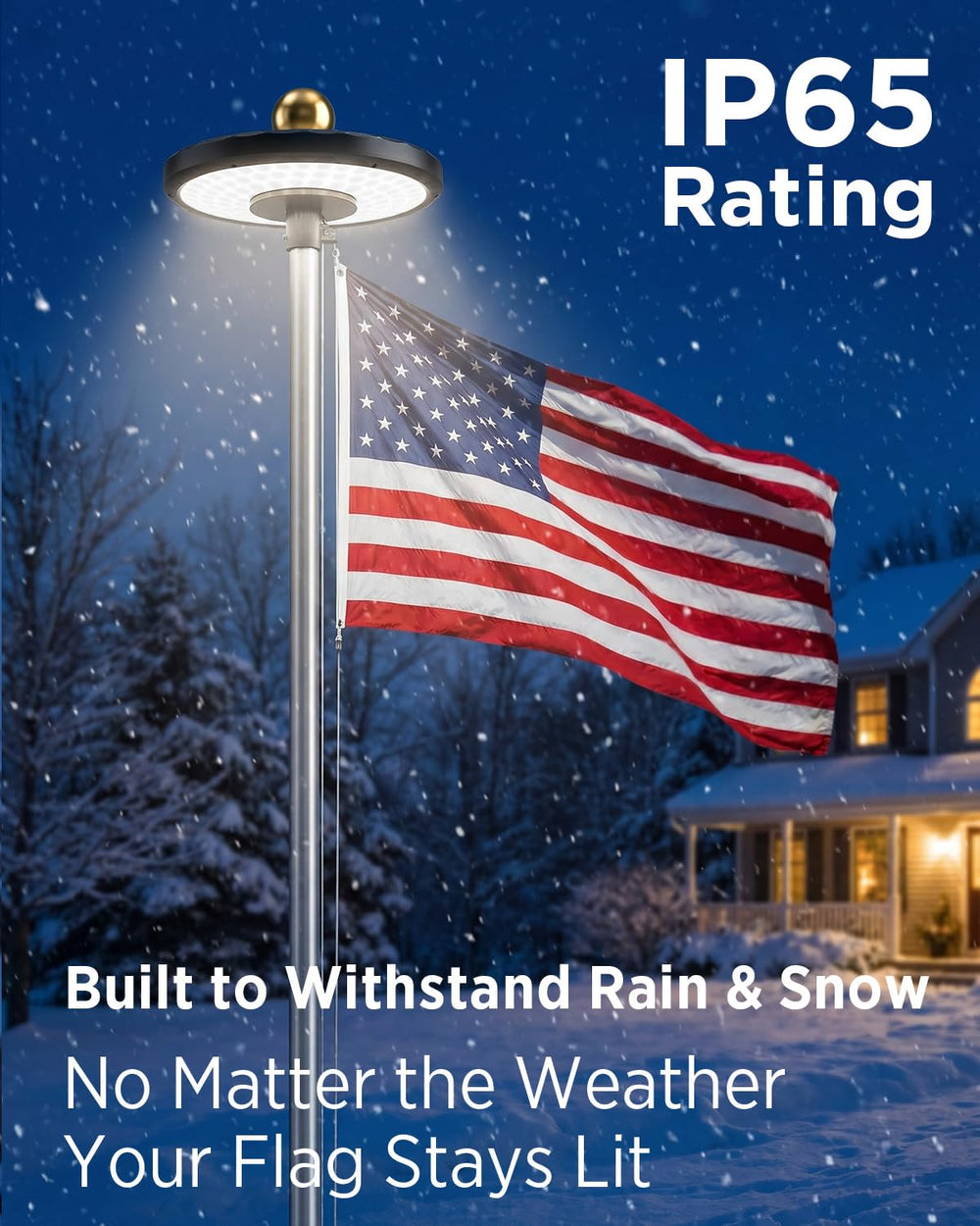 Side view of Lepwings Solar Flag Pole Light