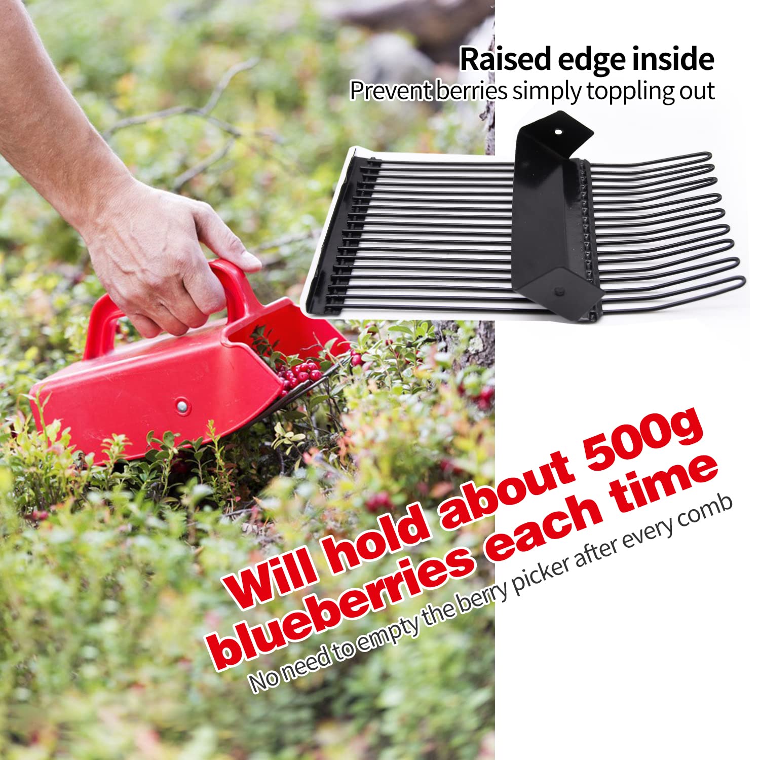 Side view of LFSEMINI Berry Picker with raised rim