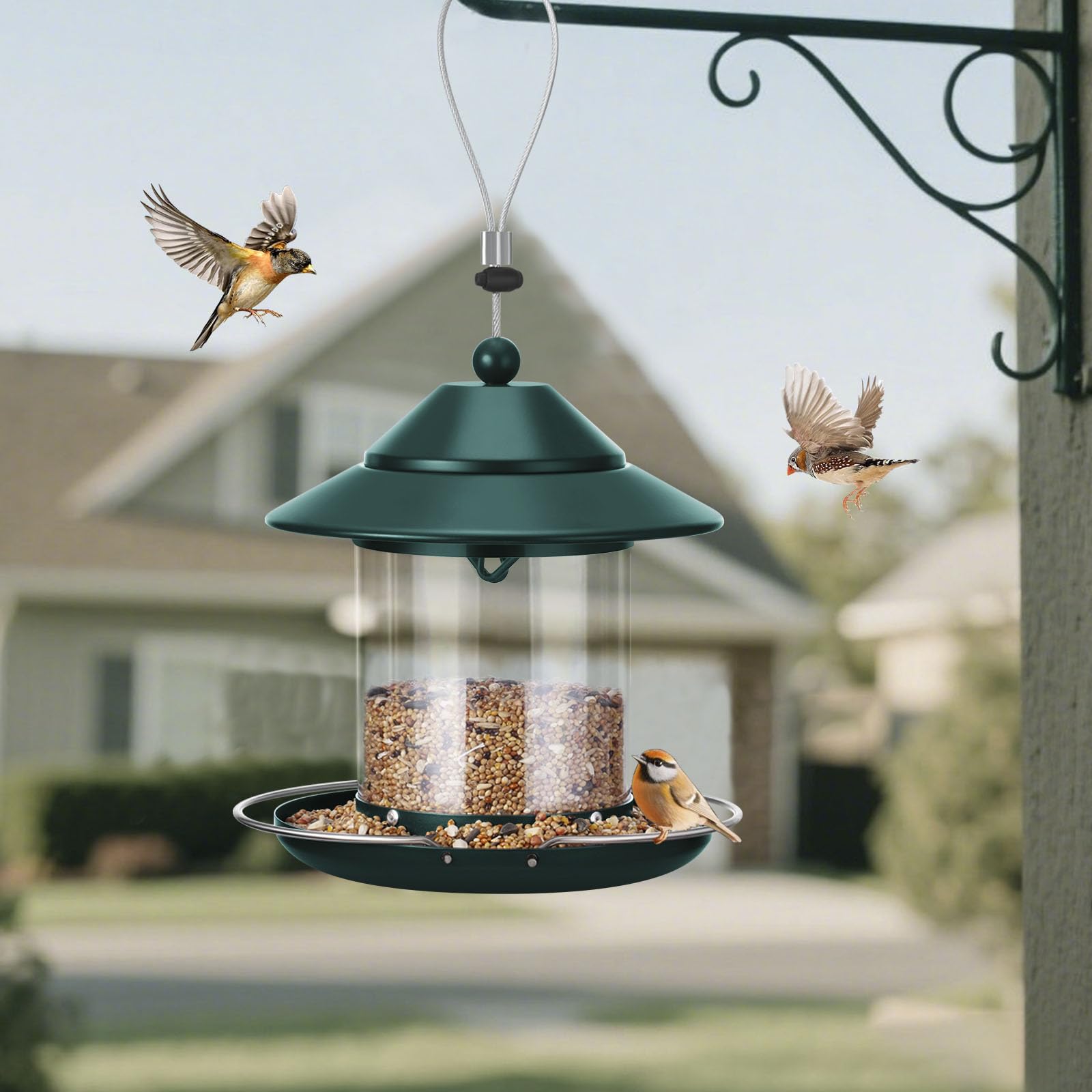Side view of MAXDORIA Hanging Bird Feeder in use