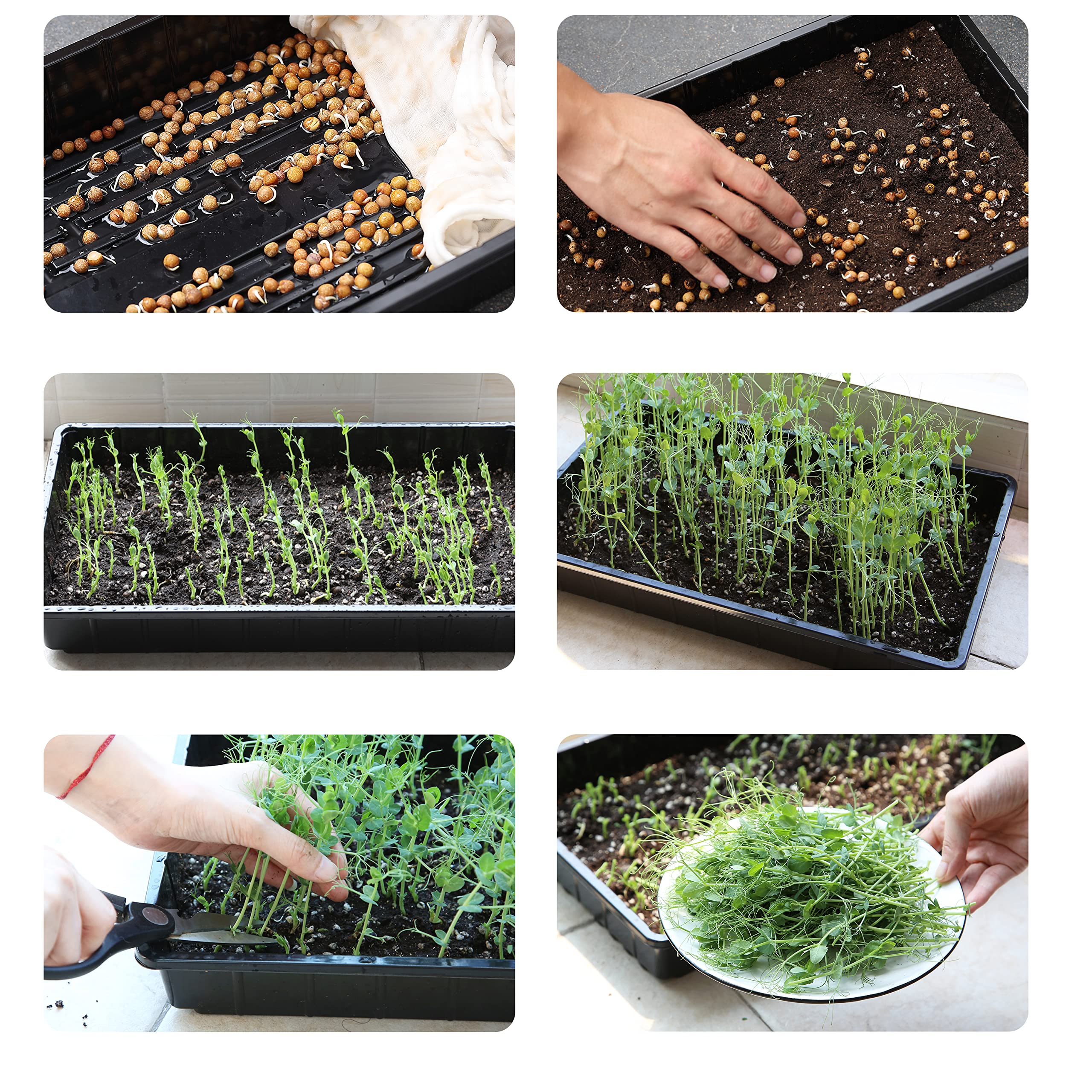 Side view of Mr. Pen Seed Starter Tray showing raised edges