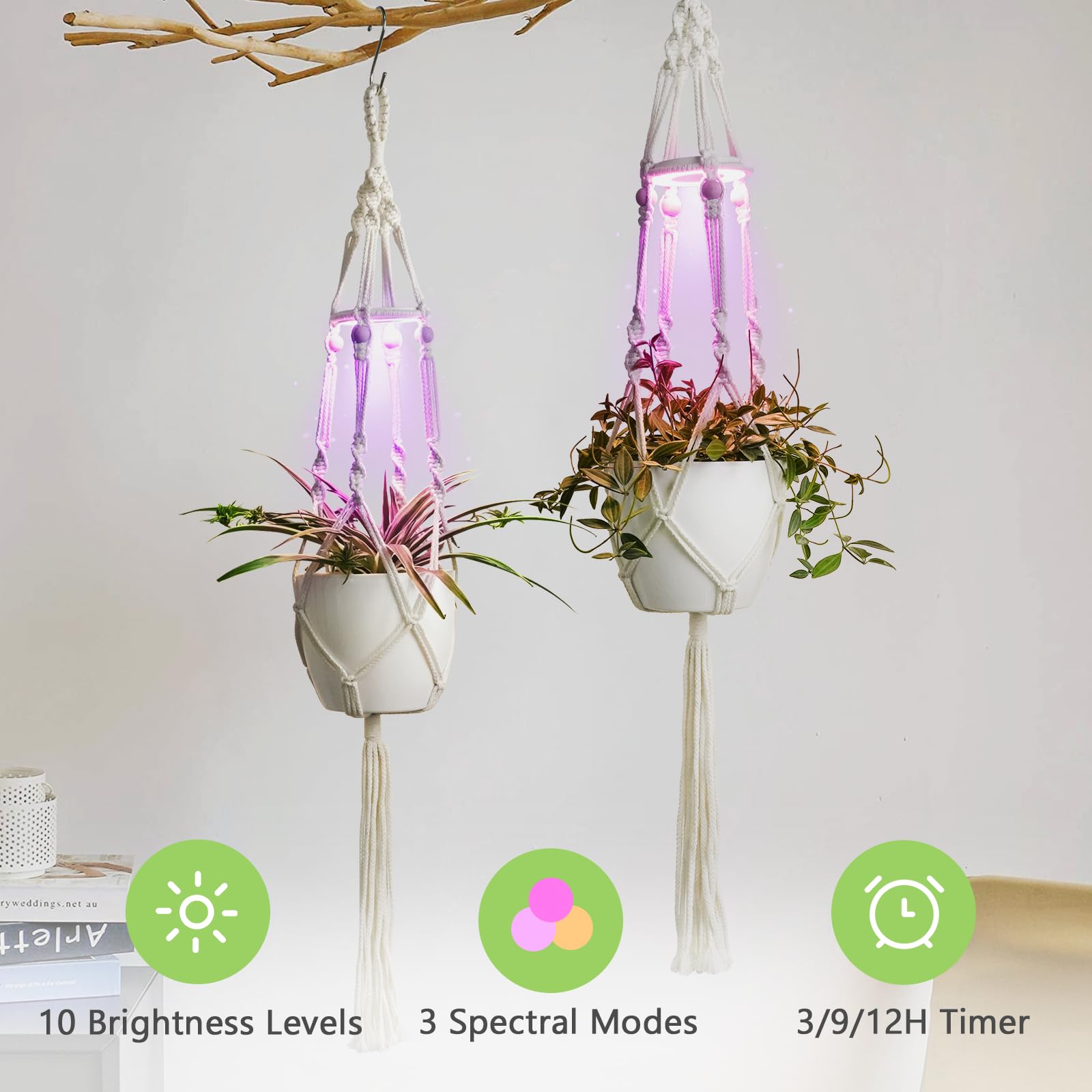 Side view of MSFON Macrame Plant Hanger with pot