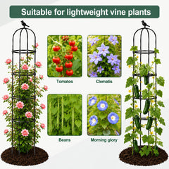 Side view of OTOSUNNY garden trellis supporting climbing vines