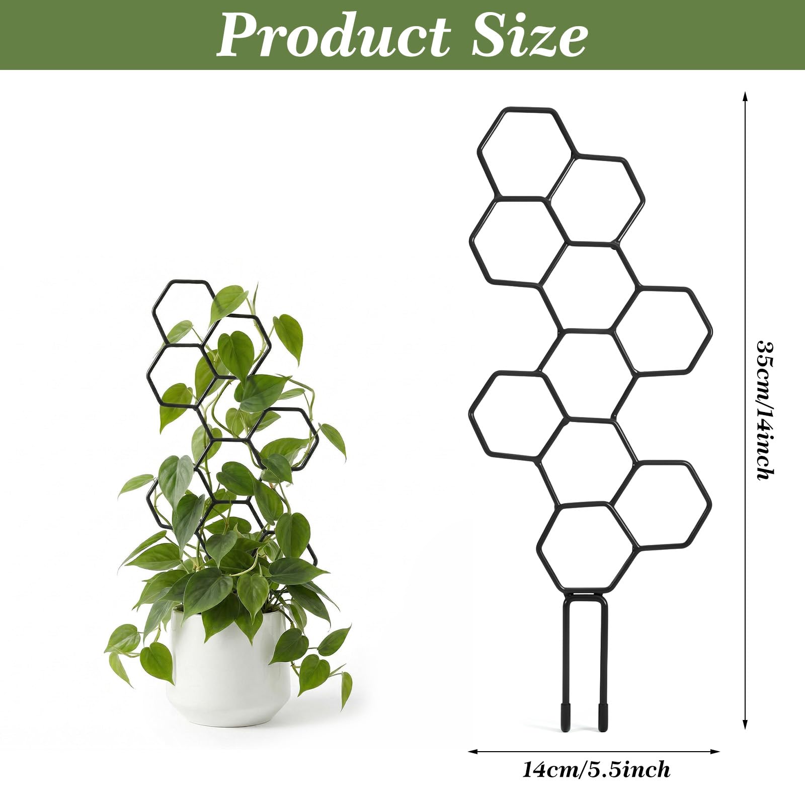 Side view of PEOVLVN 14 Inch Trellis with climbing plants