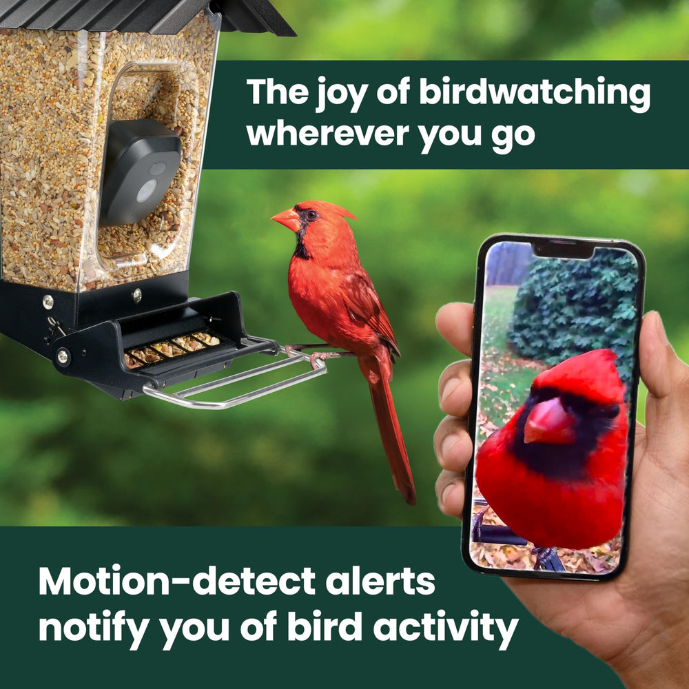 Side view of Perky-Pet bird feeder showing solar panel