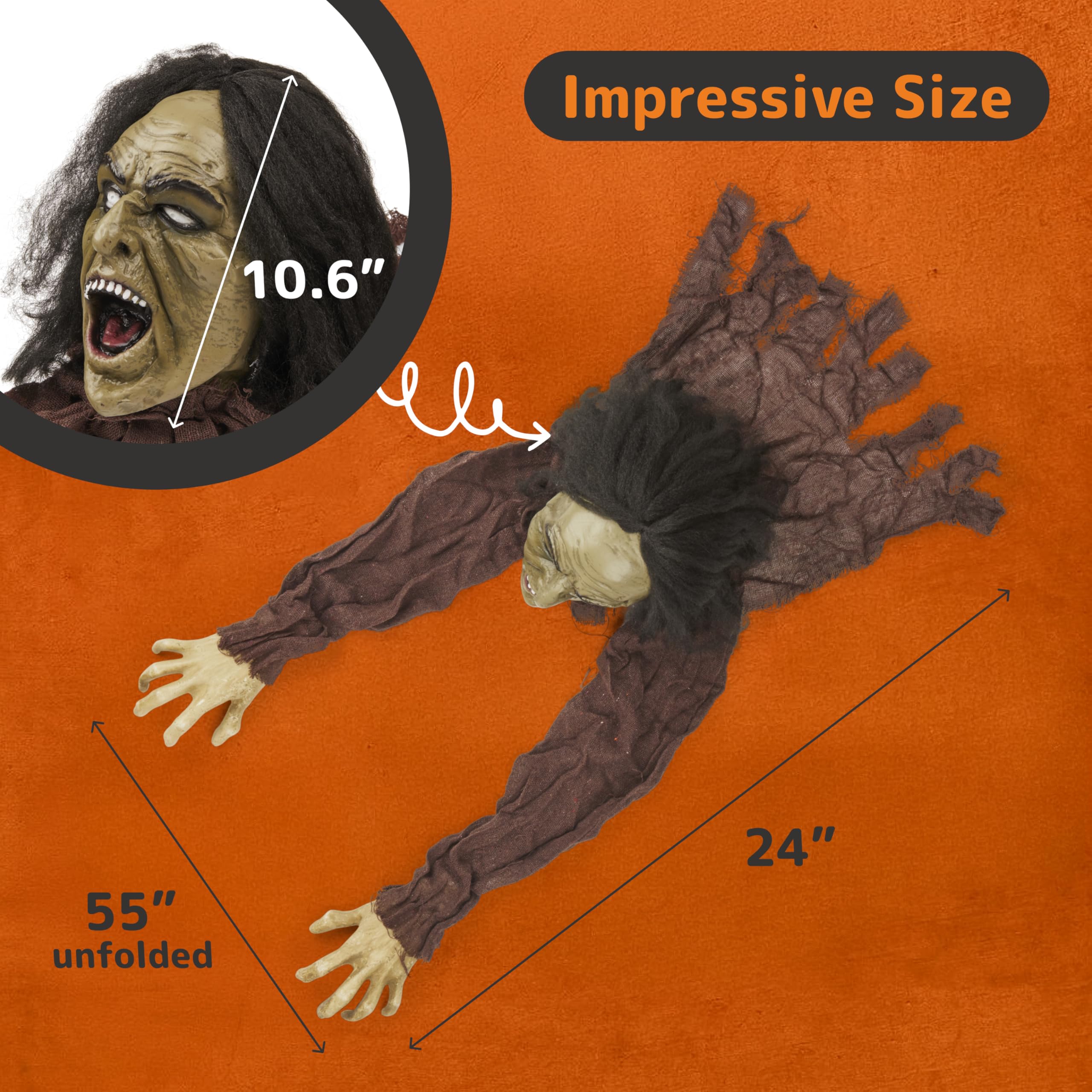 Side view of PREXTEX Crawling Zombie showing wingspan