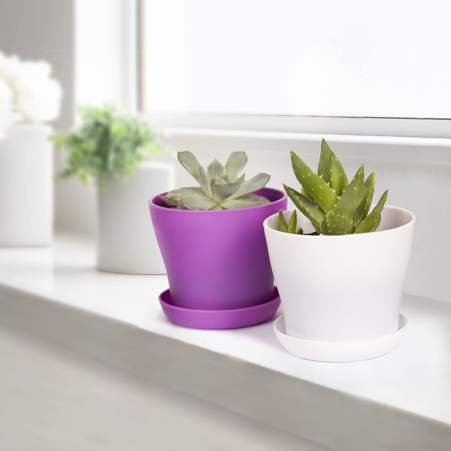 Side view of purple plastic planter by TDHDIKE