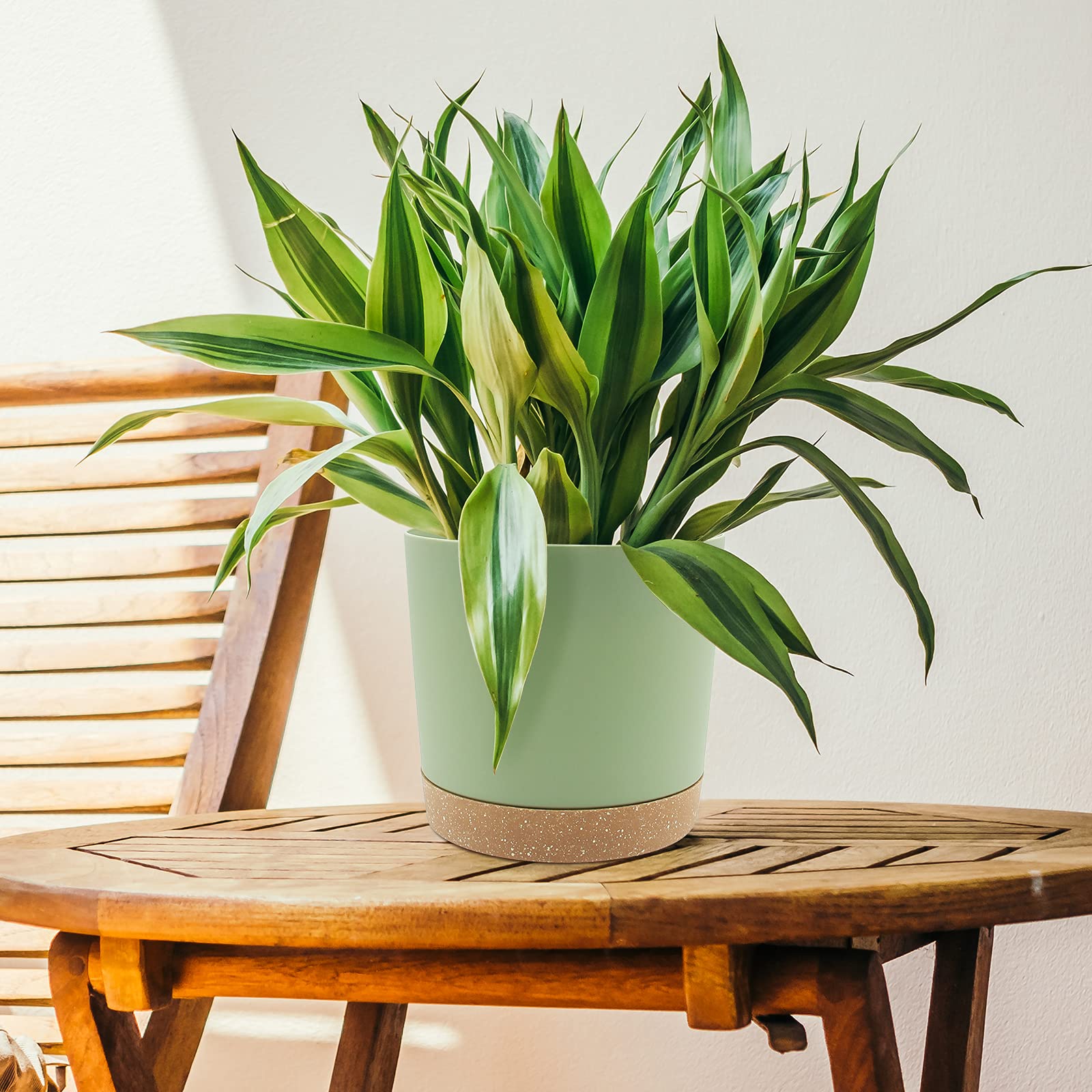 Side view of QCQHDU 8-inch plant pot and tray