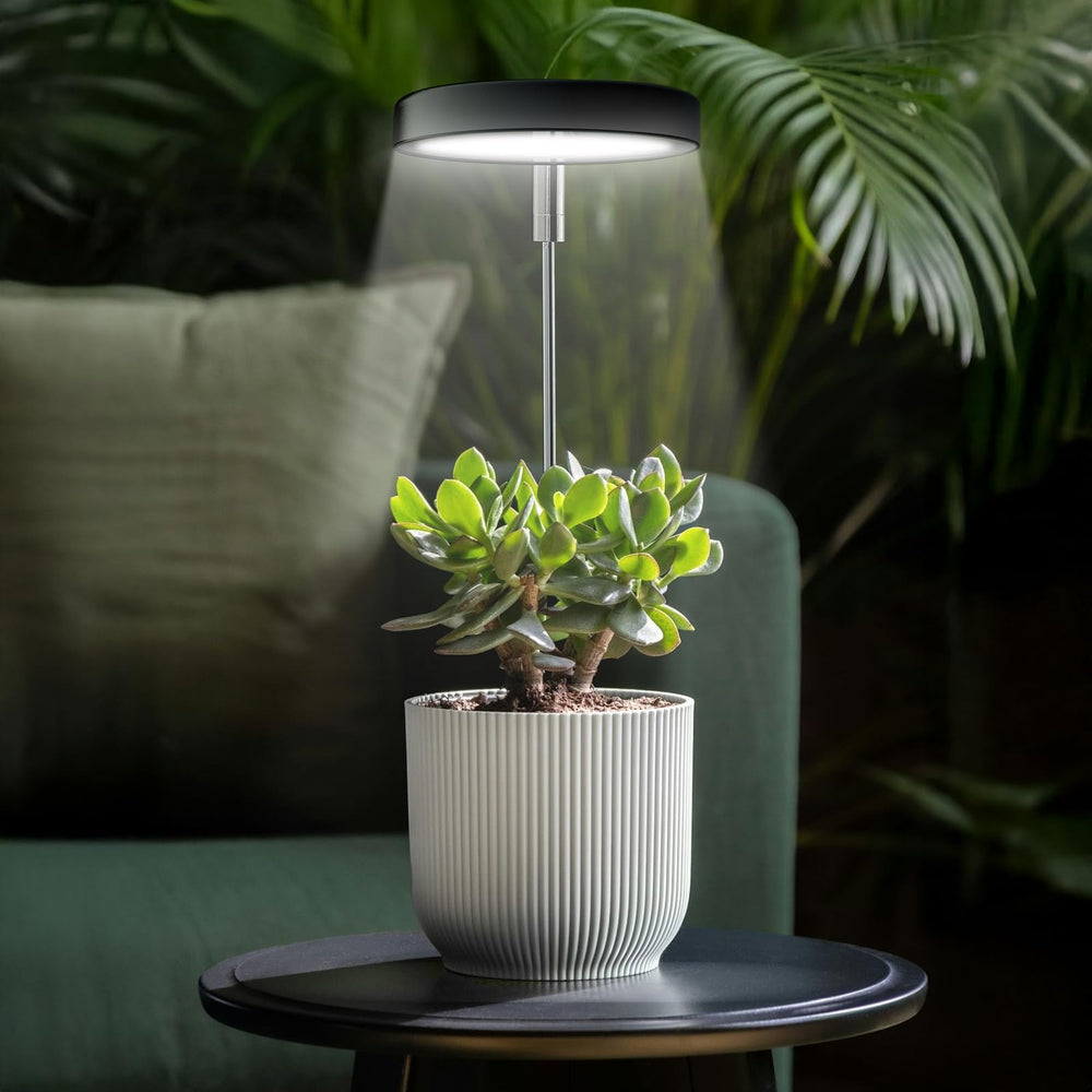 Side view of Qicodu Grow Light showing telescopic arm