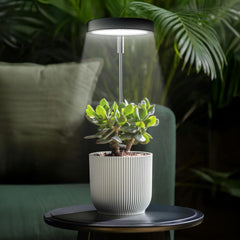 Side view of Qicodu Grow Light showing telescopic arm