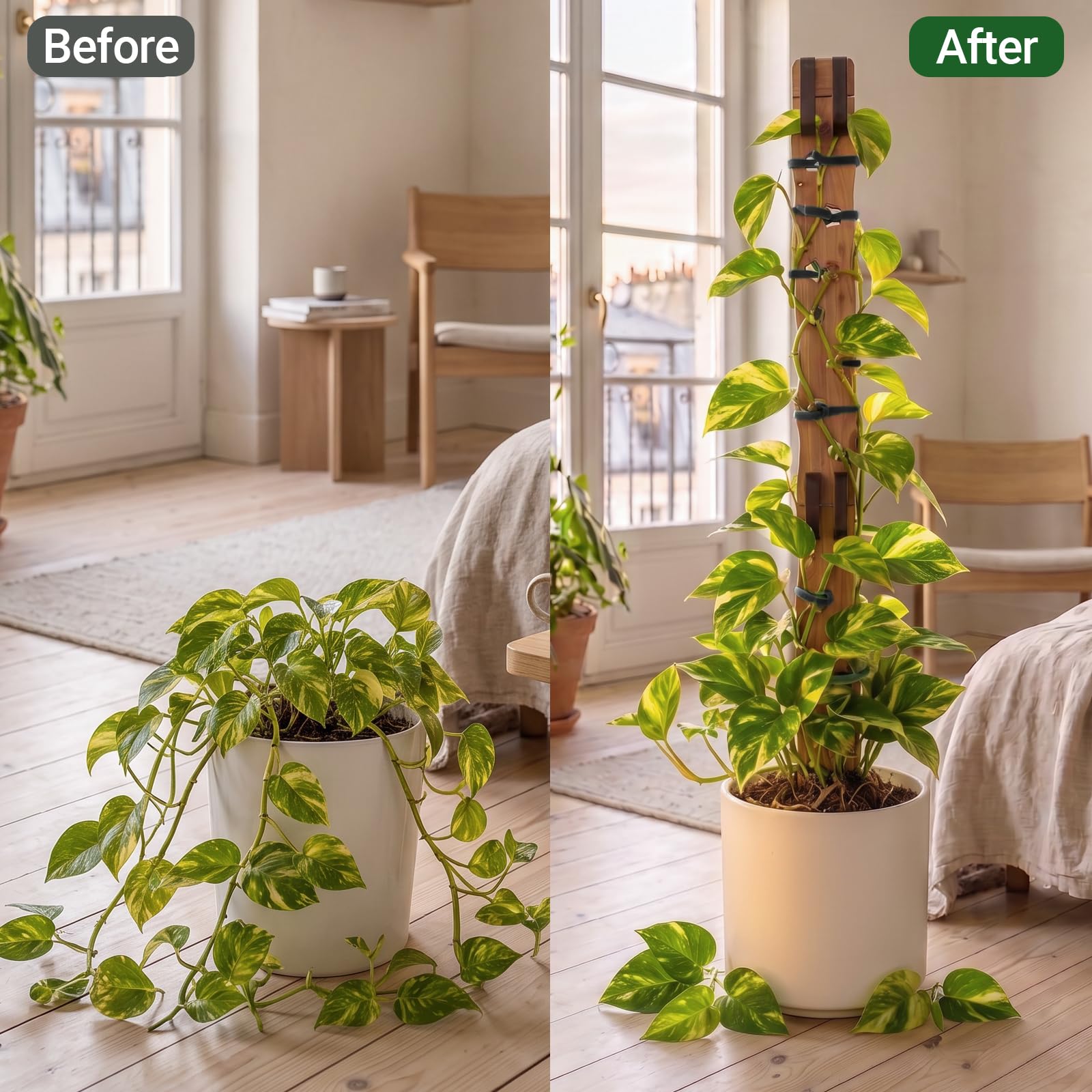 Side view of RAWILL Wooden Trellis in home decor