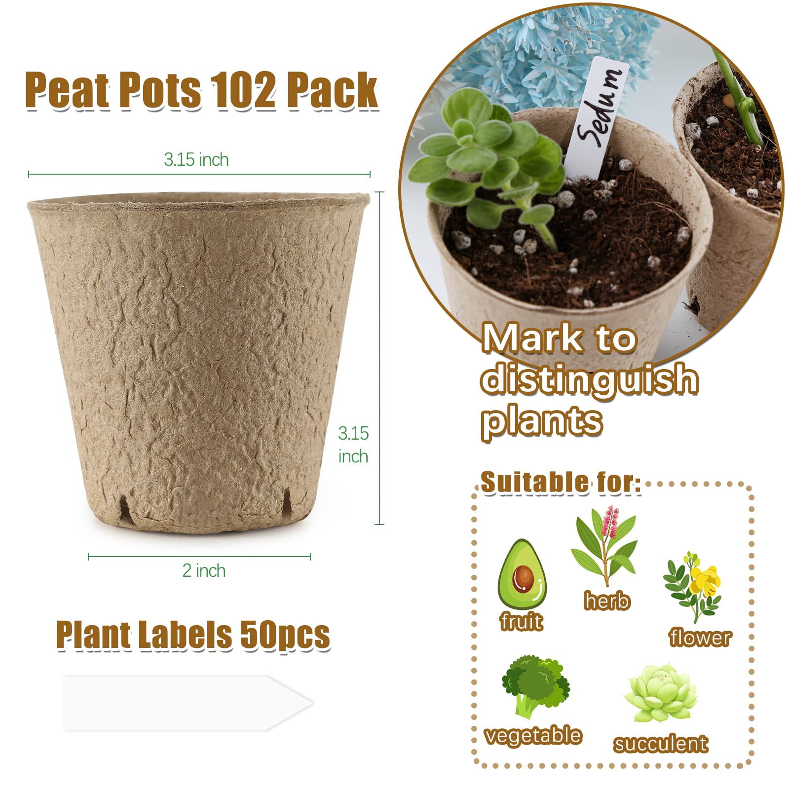 Side view of REMIAWY peat pots with soil and sprouting seeds