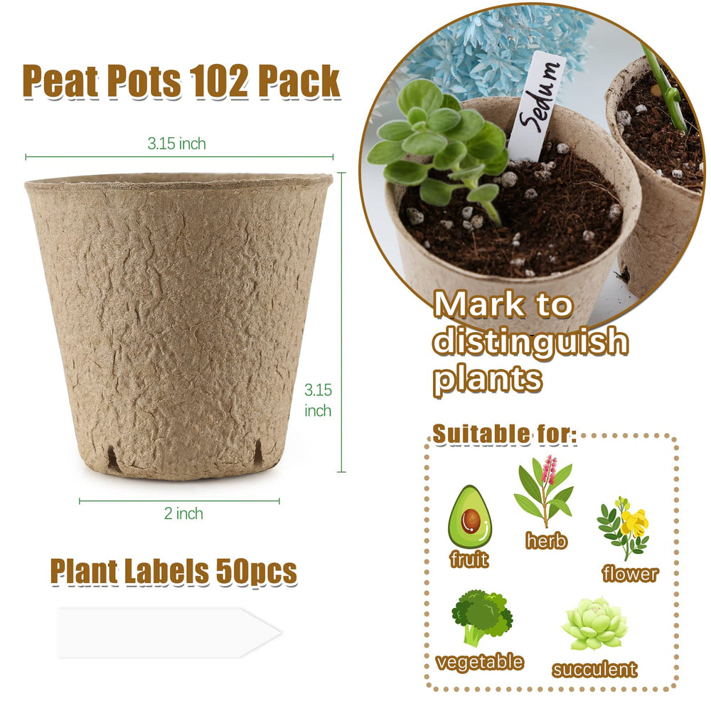 Side view of REMIAWY peat pots with soil and sprouting seeds