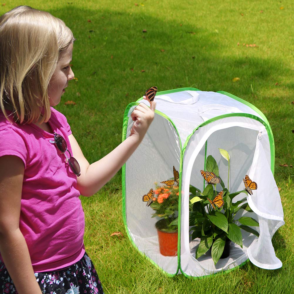 Side view of RESTCLOUD butterfly habitat cage showing mesh panels