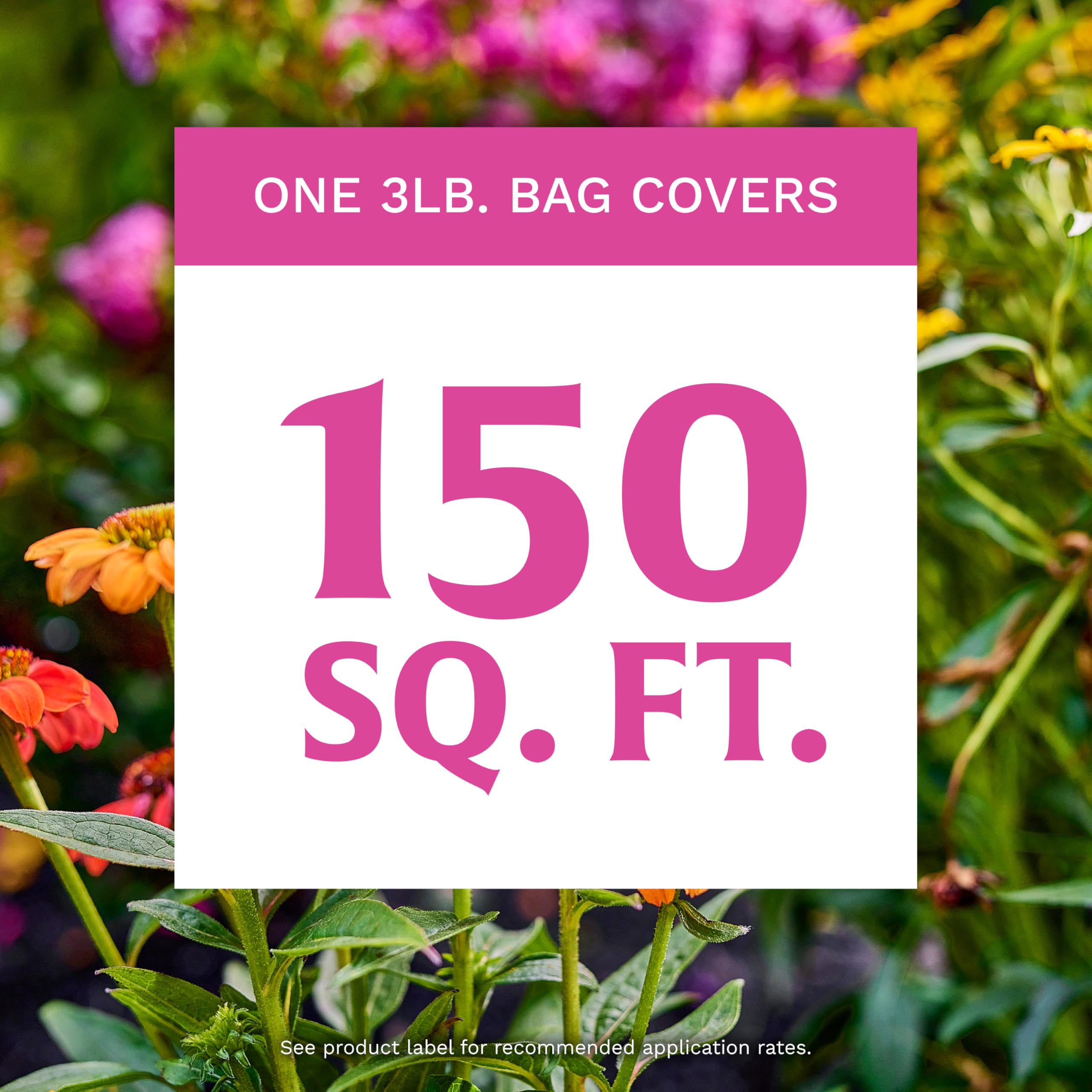 Side view of Scotts Rose and Bloom Plant Food package